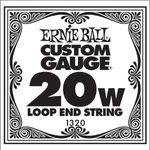 Струна для электрогитар ERNIE BALL  .020 Loop End P01320, фото 